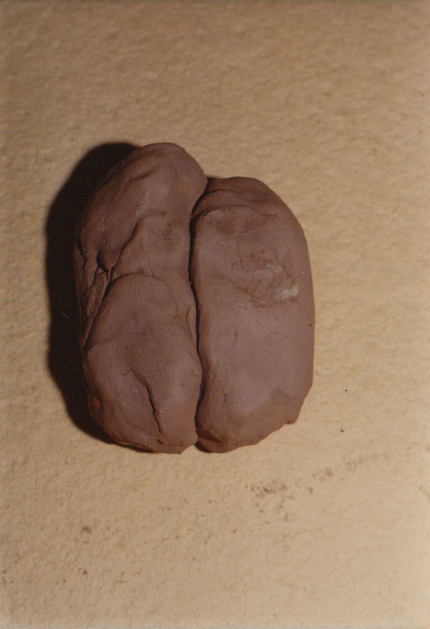 penis-vagina-clay-Woman06Vagina.jpg