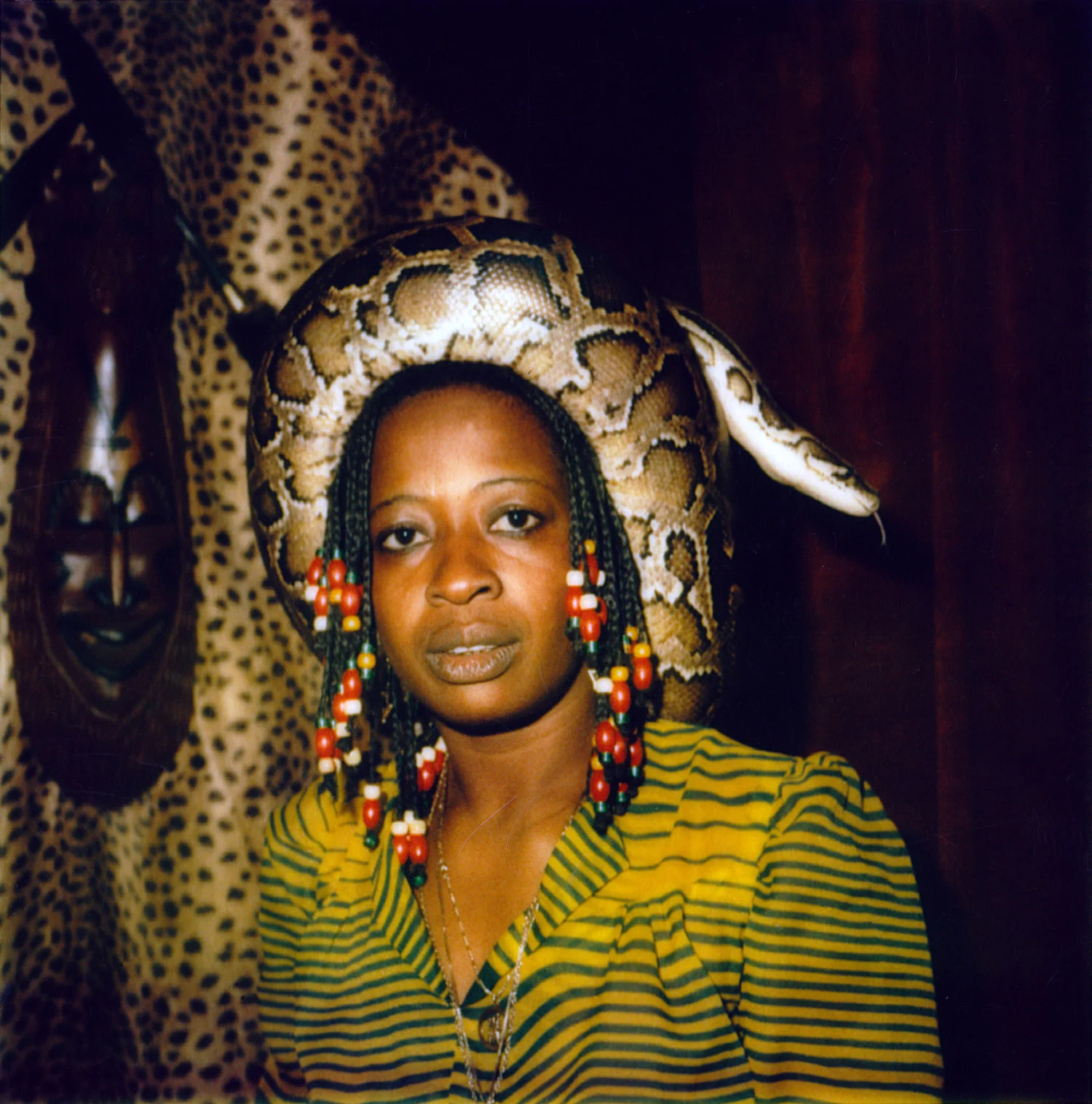 Woman wearing live snake at Chez tony