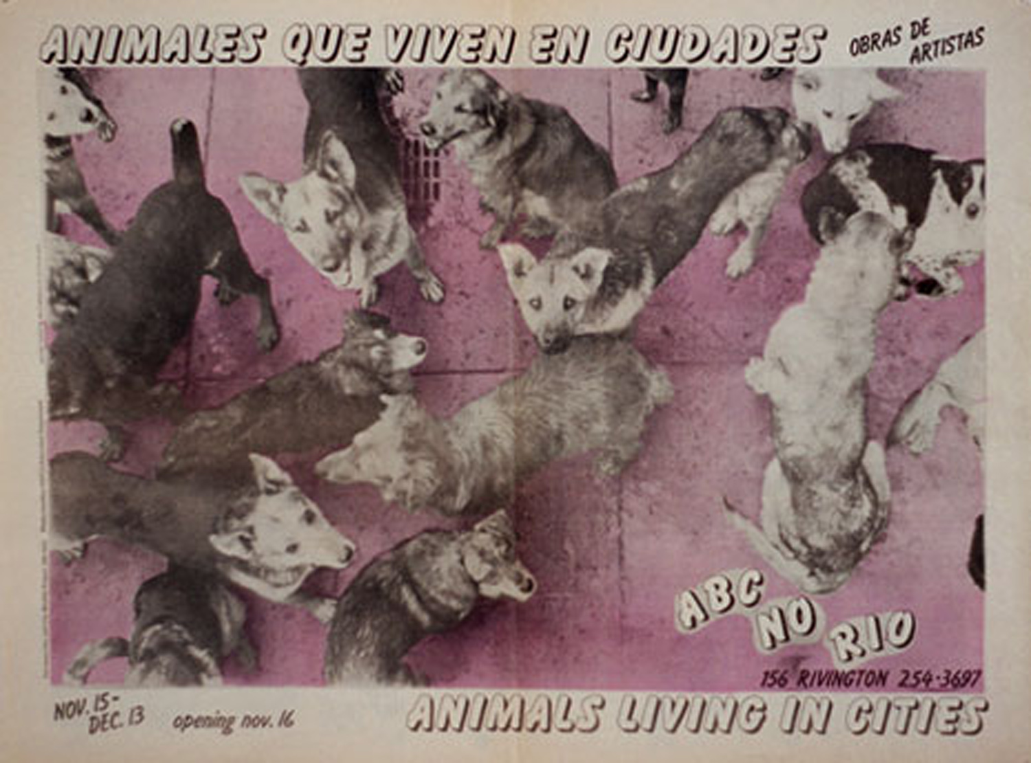 Poster design by Christy Rupp, based on a photography by Paul Duckworth