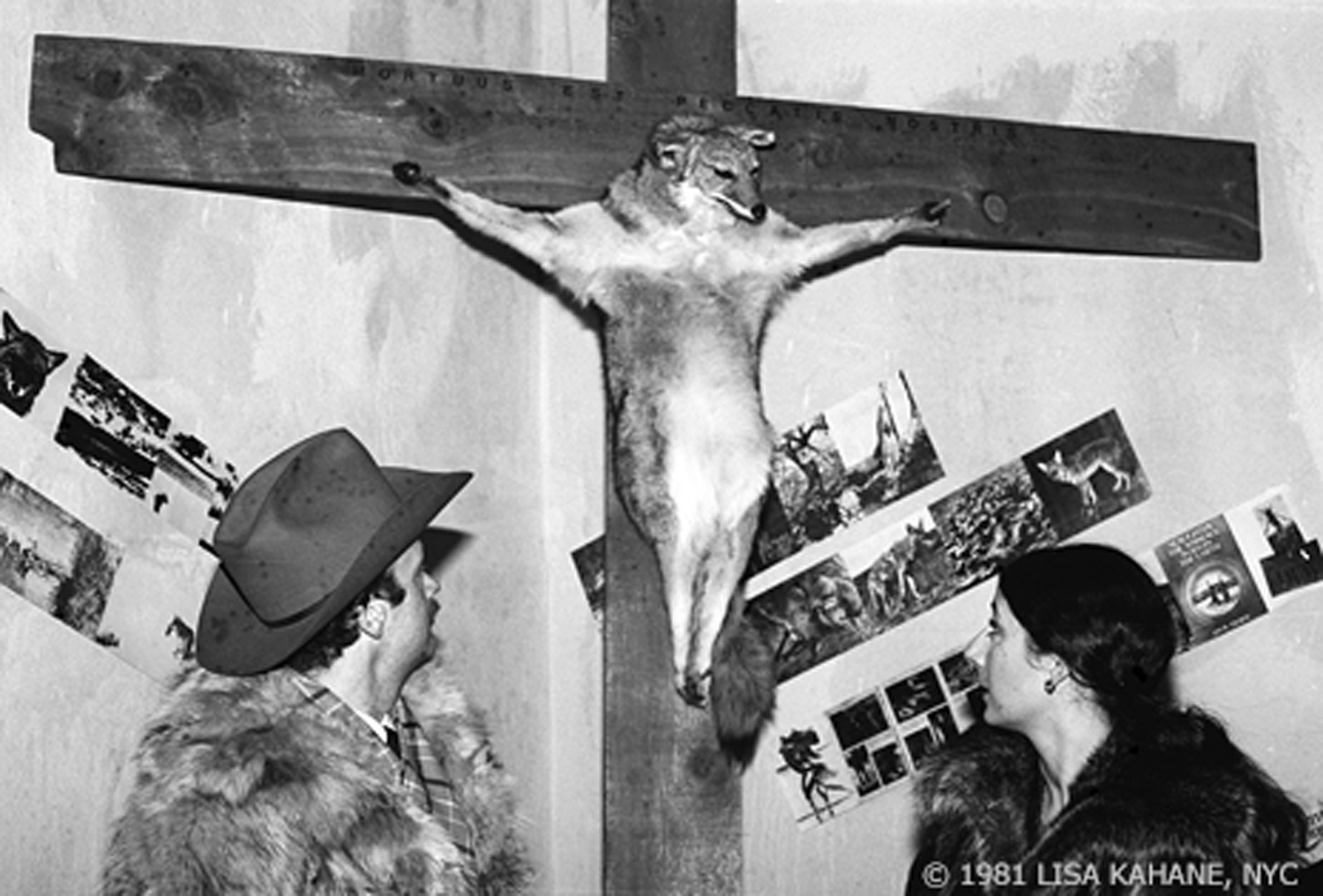 Paulette Nenner, Crucified Coyote . Nenner's work occasioned public controversy when NYC Parks Commissioner Gordon Davis orded it removed from the Aniamls in Arsenal exhibition in the Central Park Zoo. Photo by Lisa Kahane