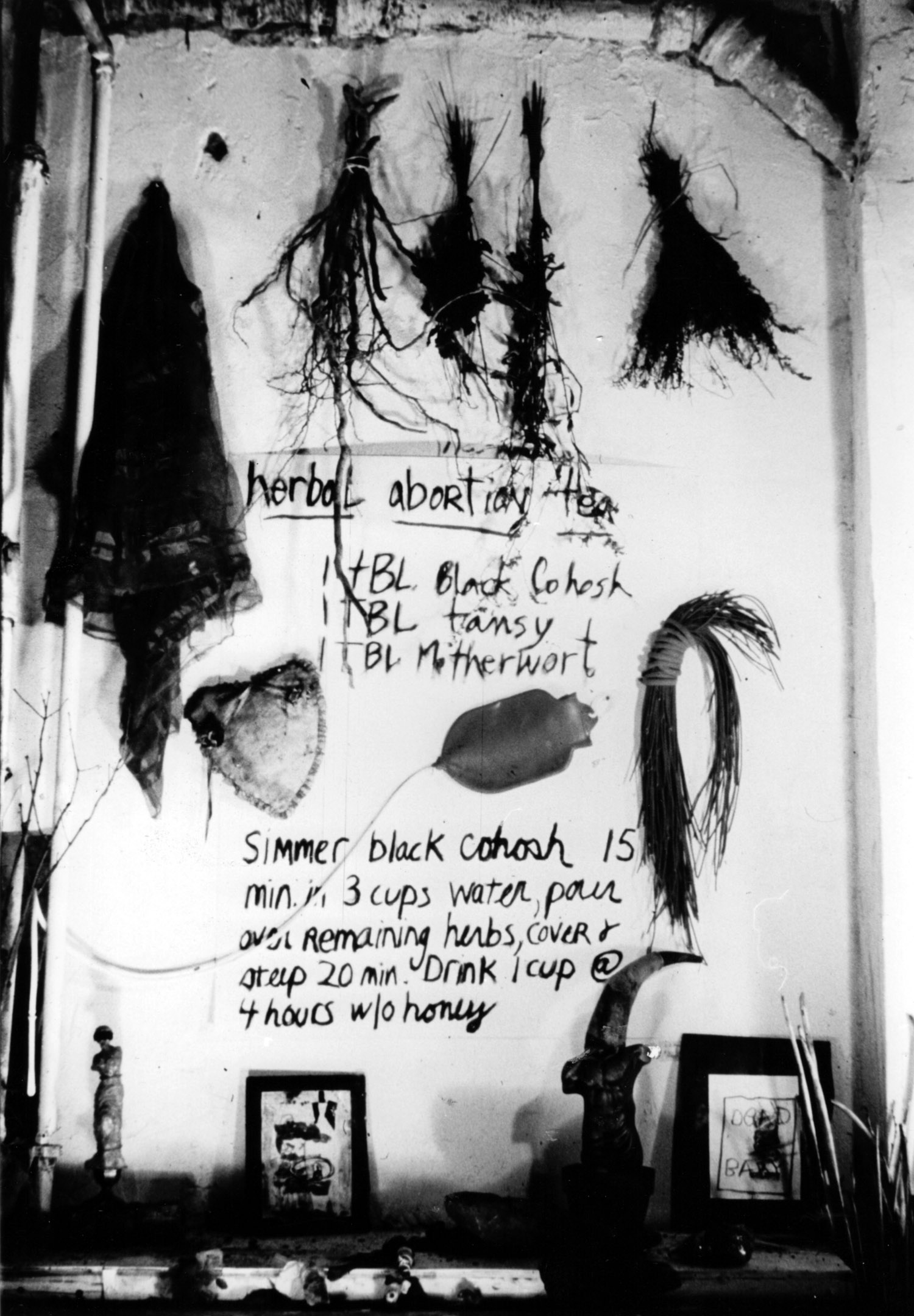 Installation view shows Herbal Abortion , an assemblage illustrating different folk methods used for a natural abortion