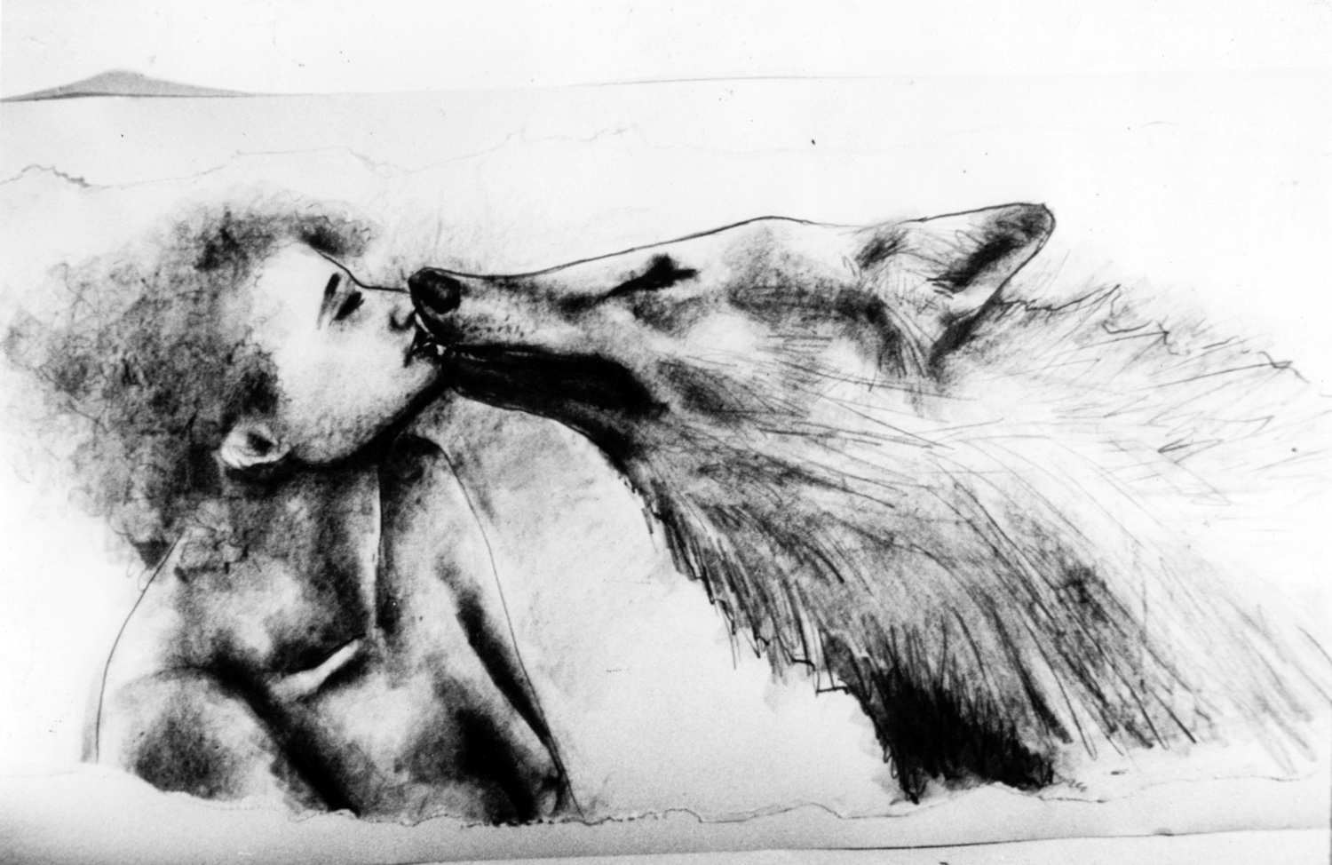 Wolf's Kiss , drawing by Paulette Nenner