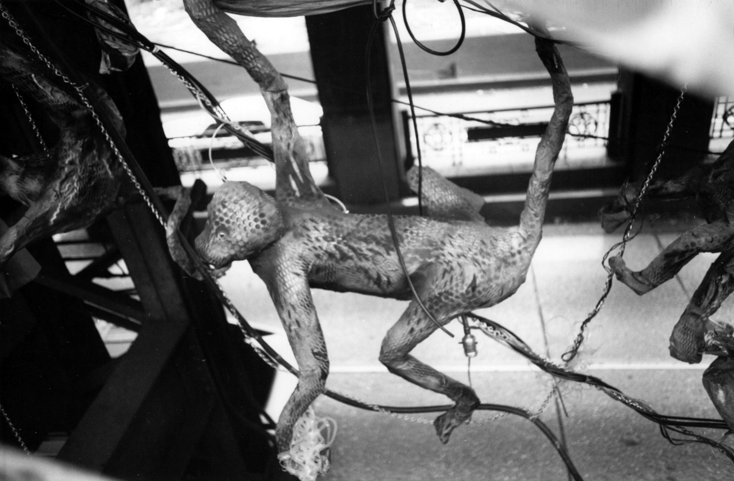 Christy Rupp's climbing monkeys clutching garbage were attached to girders beneath the promenade. Photo by Andrea Callard