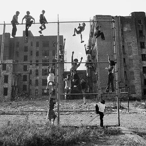 The Neighborhood