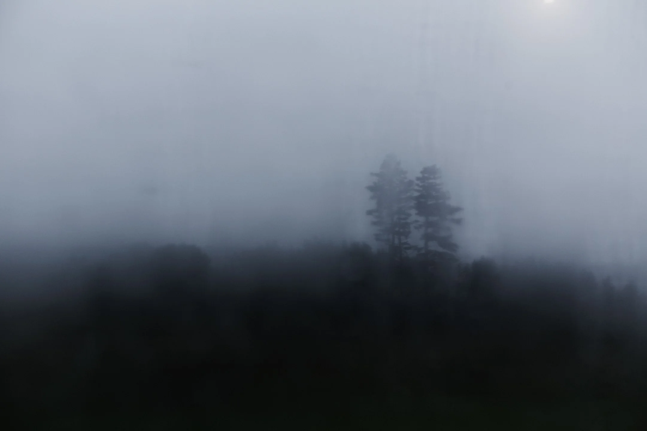 6675015455_e7790c106f_o.jpg