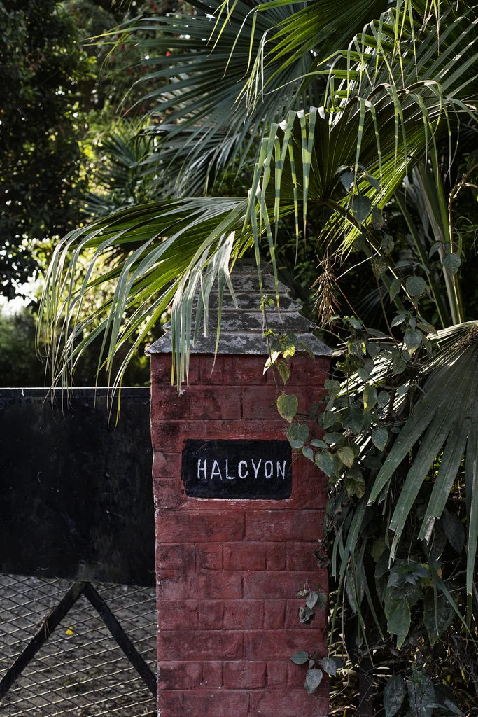 Halyon Gate | Tara O'Brady