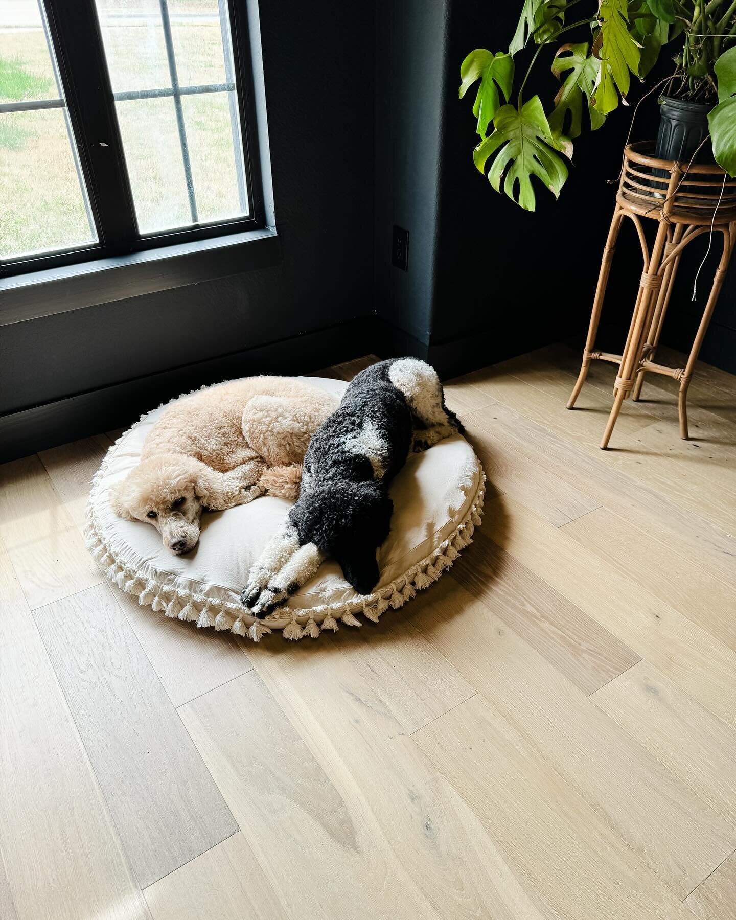 The sweetest snuggles. Can we talk about these floors for a second though?