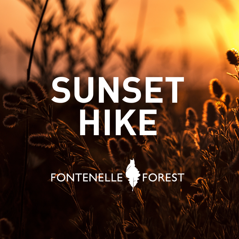Young Adult Gathering: Sunset Hike