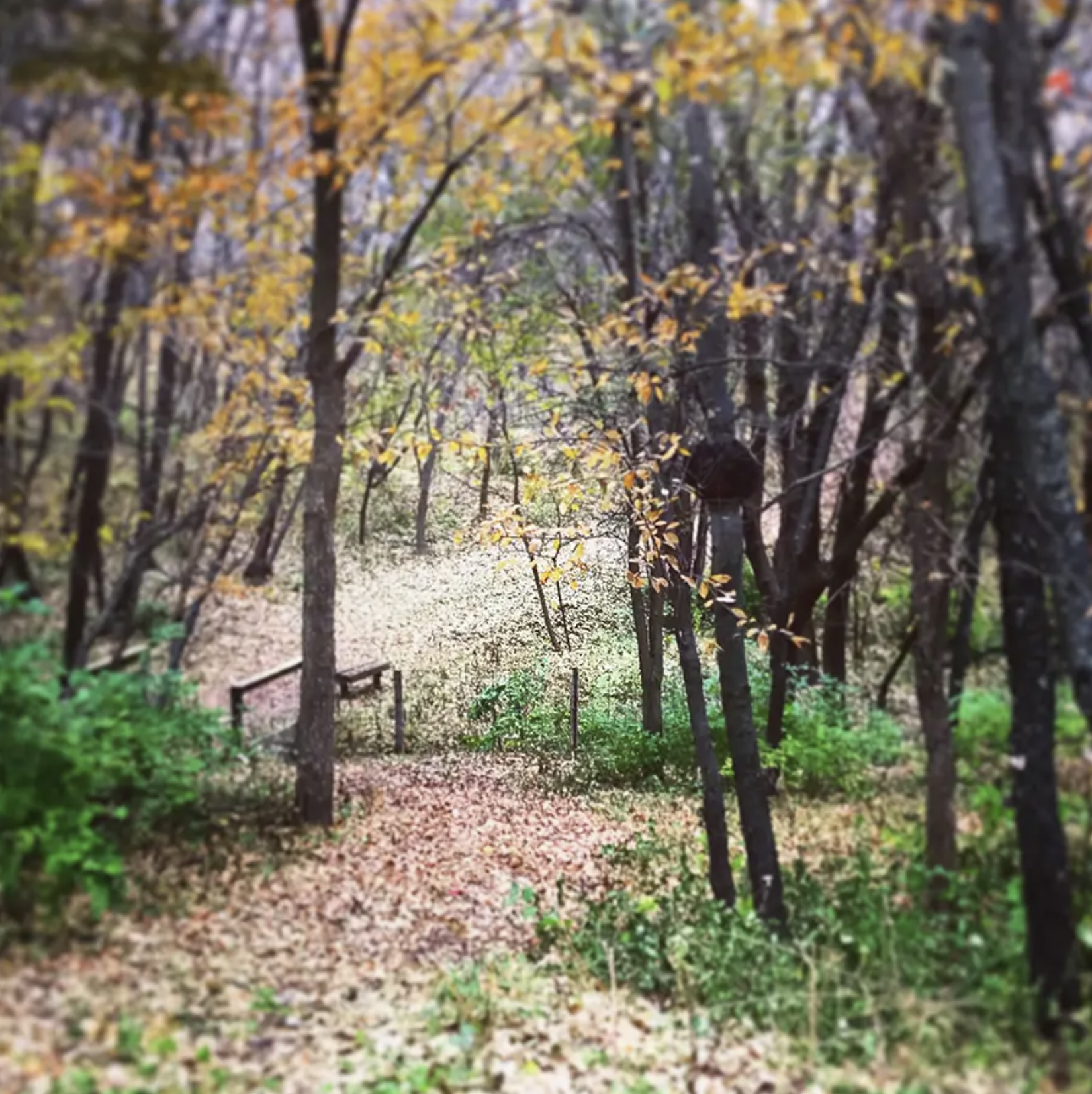 Fall Young Adult Retreat