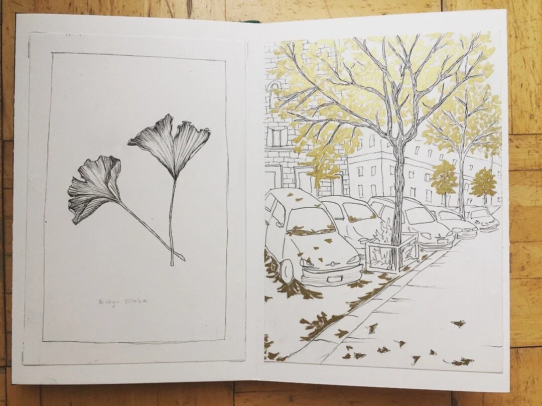 Rome- Book of Trees 2.jpg