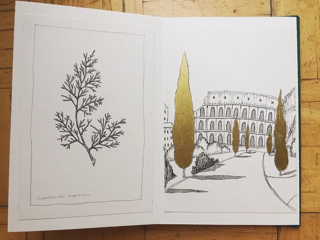 Rome- Book of Trees 3.jpg