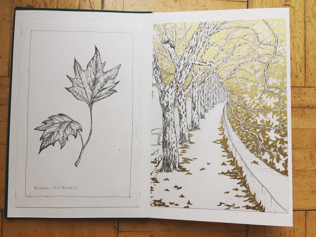 Rome- Book of Trees 4.jpg