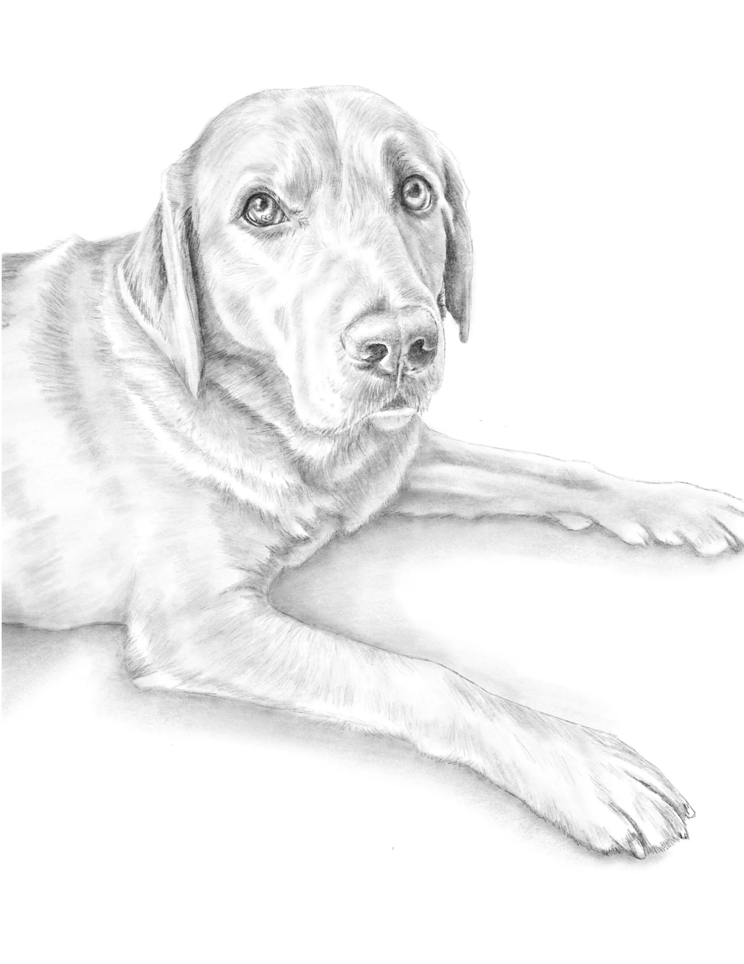 Jessie's_Dog_8.5x11.jpg