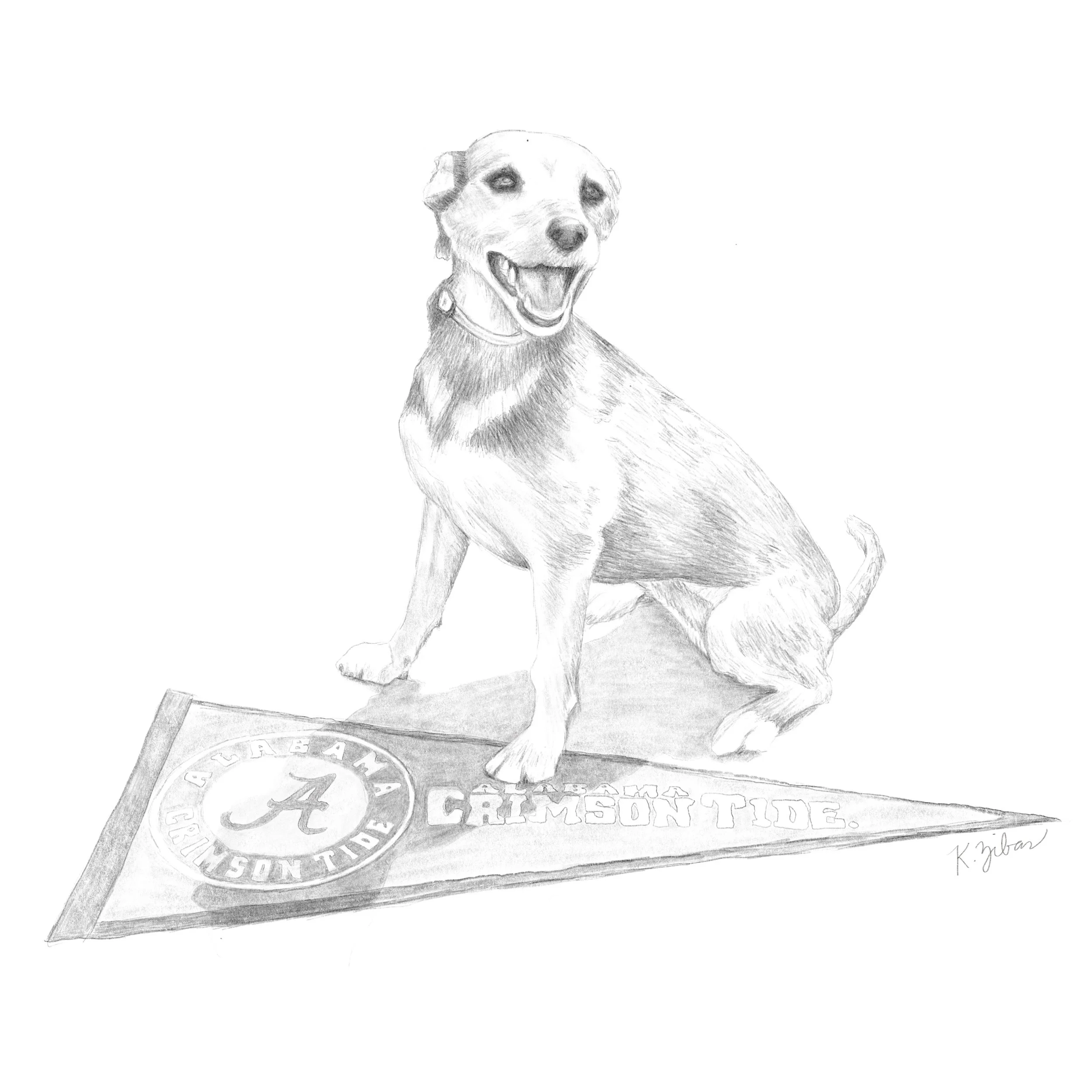 Roxie_12x12.jpg