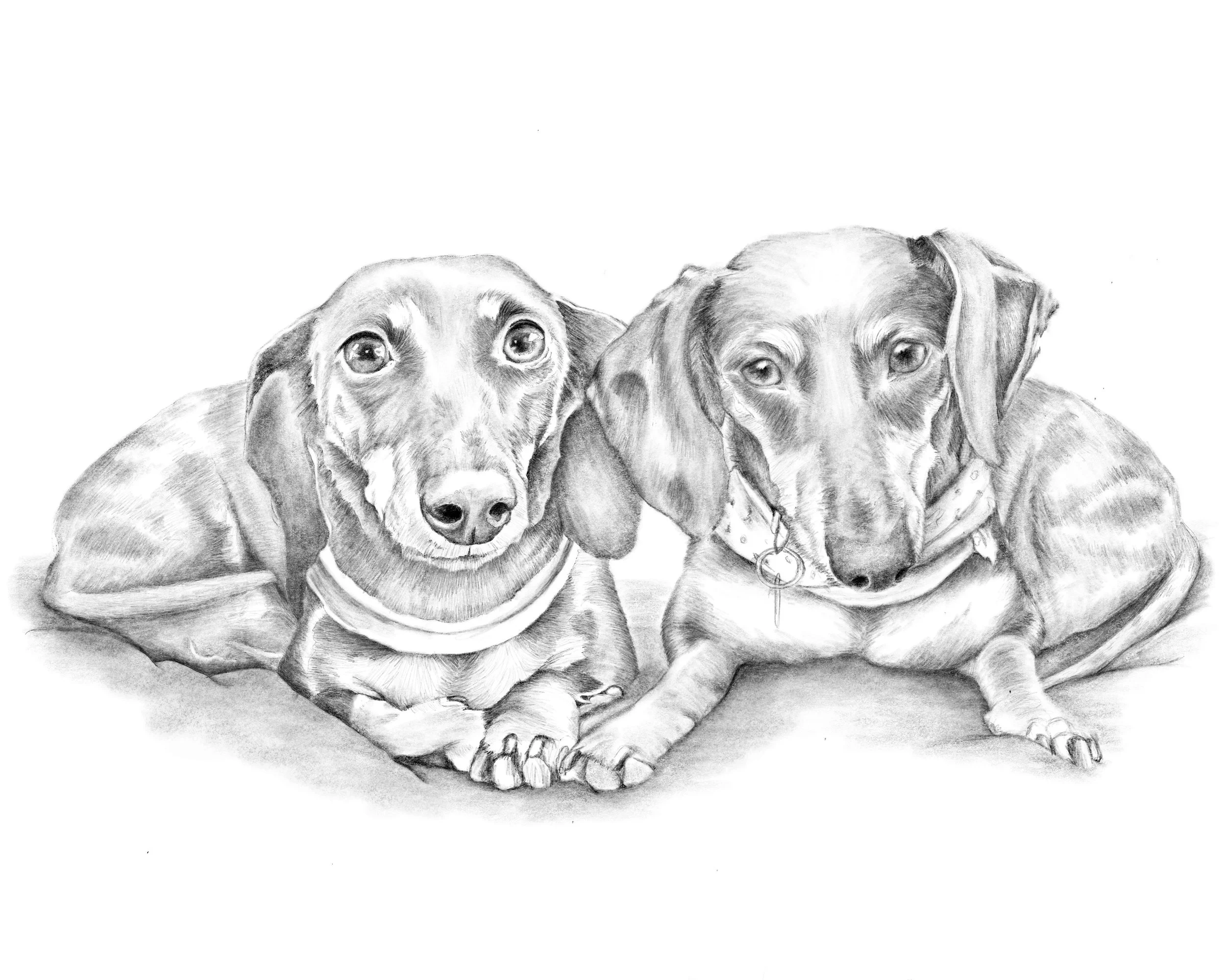 Untitled_Artwork 61.jpg