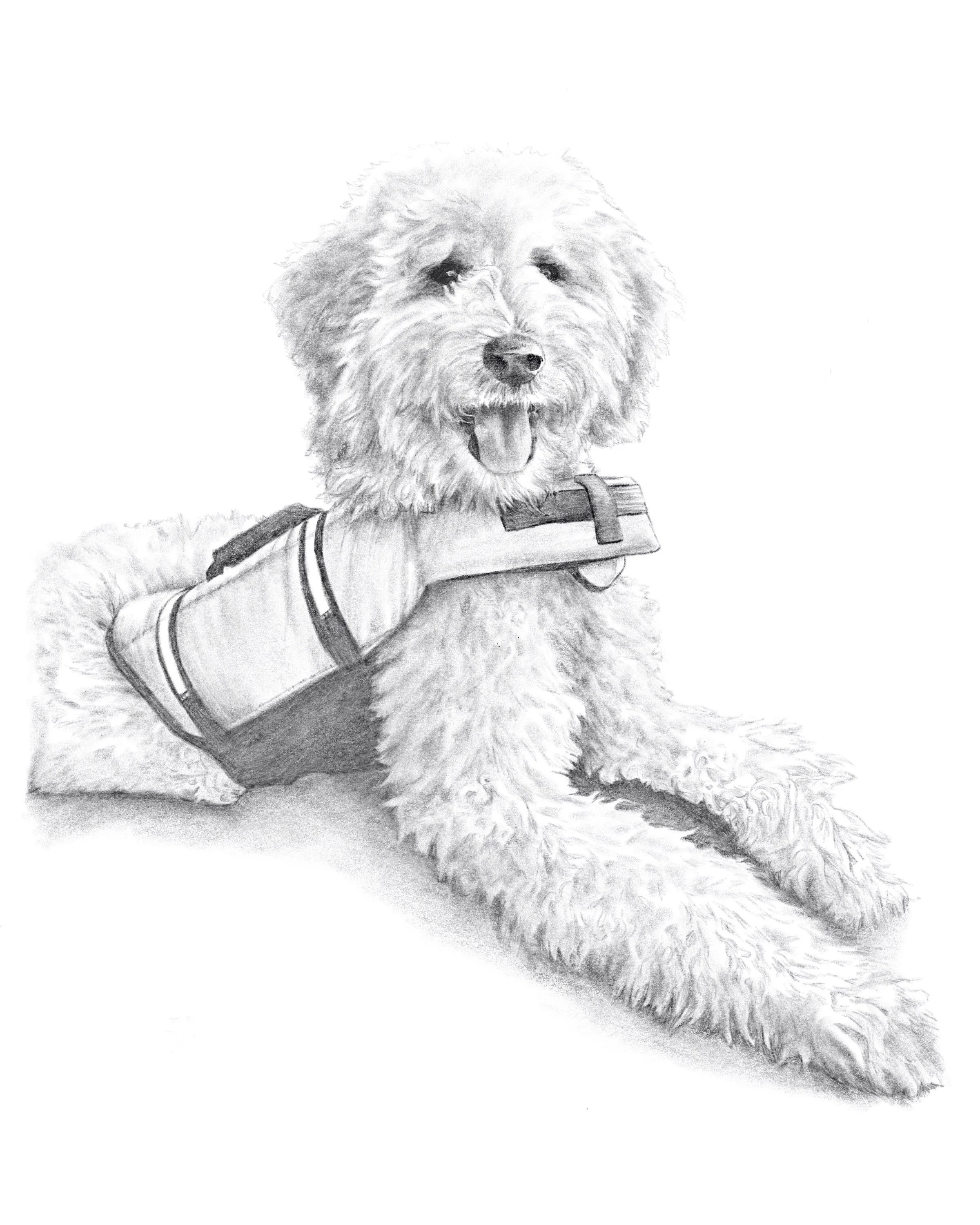 Untitled_Artwork 63.jpg