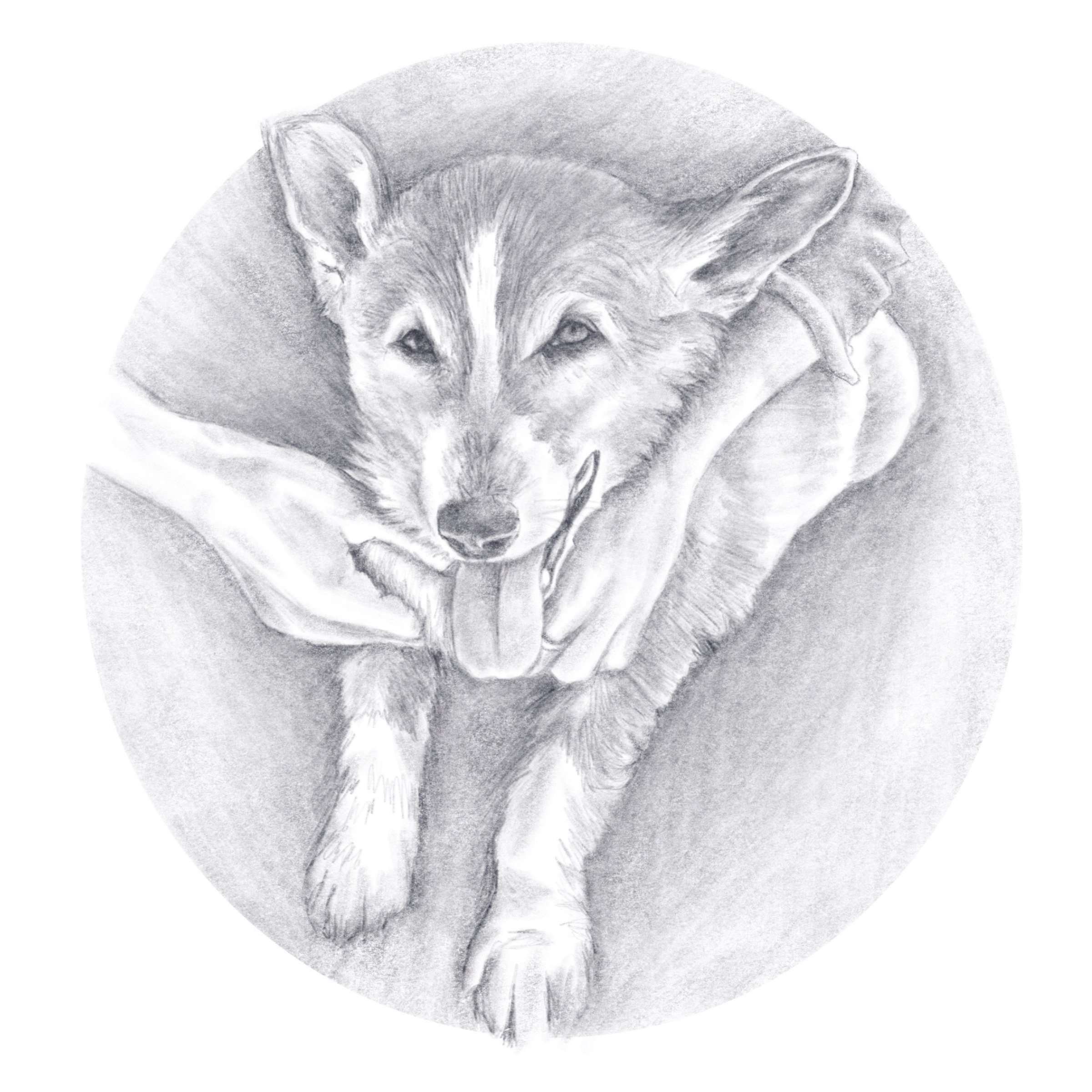 Untitled_Artwork 64.jpg