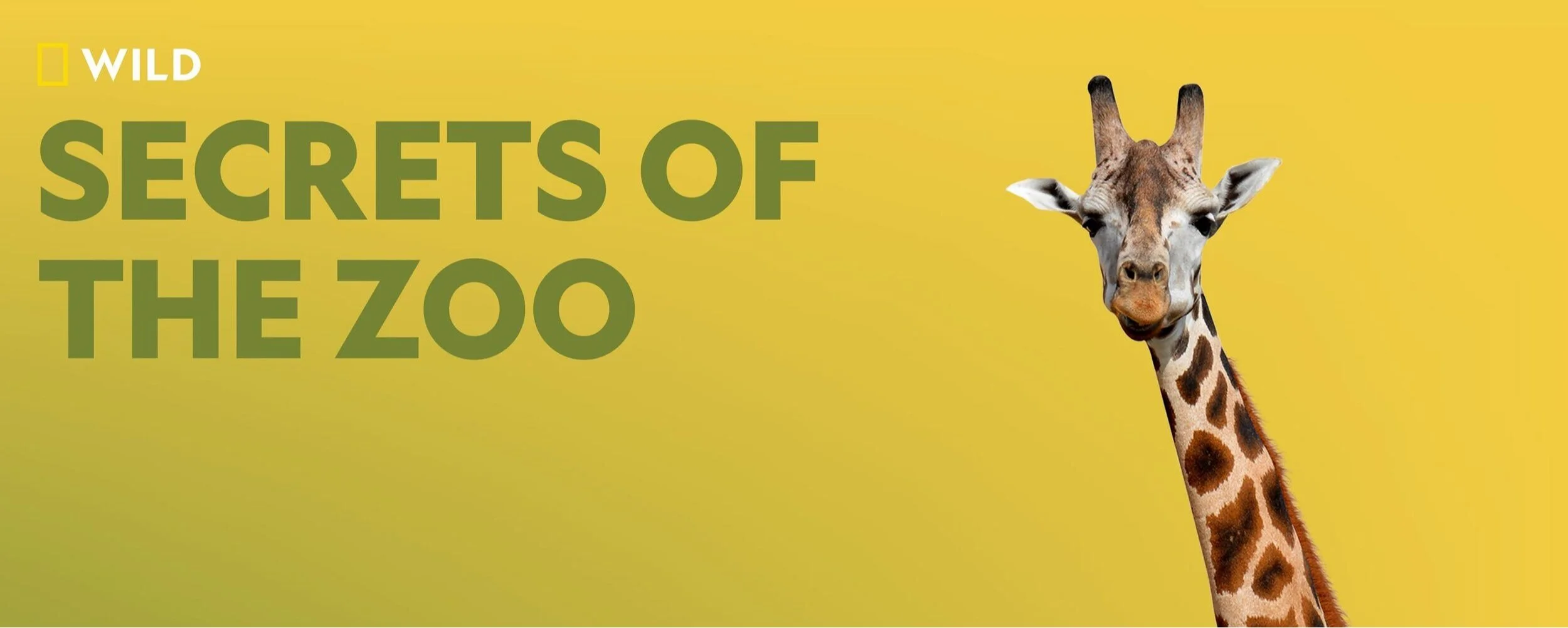 Secrets of the Zoo