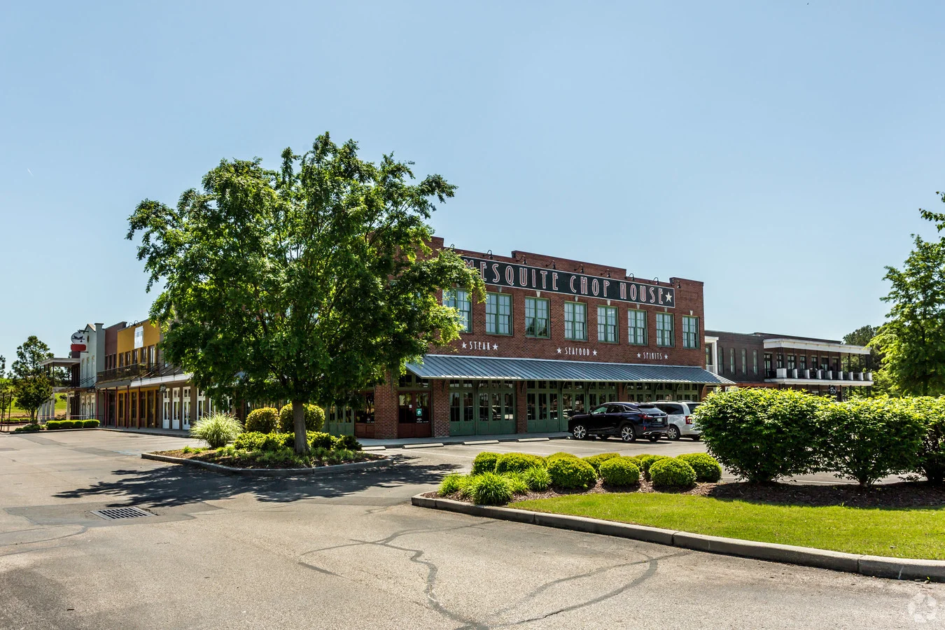 image-3.jpg
