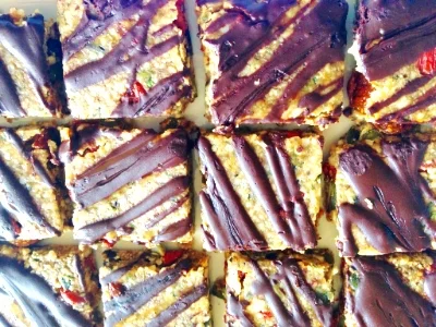 Super food bars with goji berries and cacao drizzle.