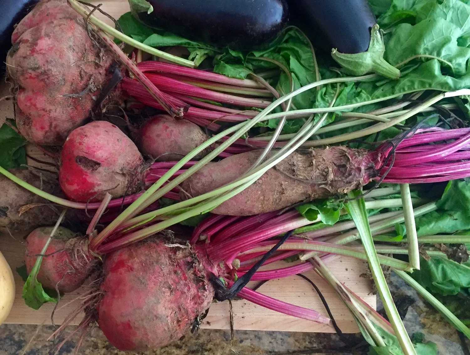 Beets fresh from the garden