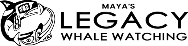 mayas-legacy-charters-logo.webp
