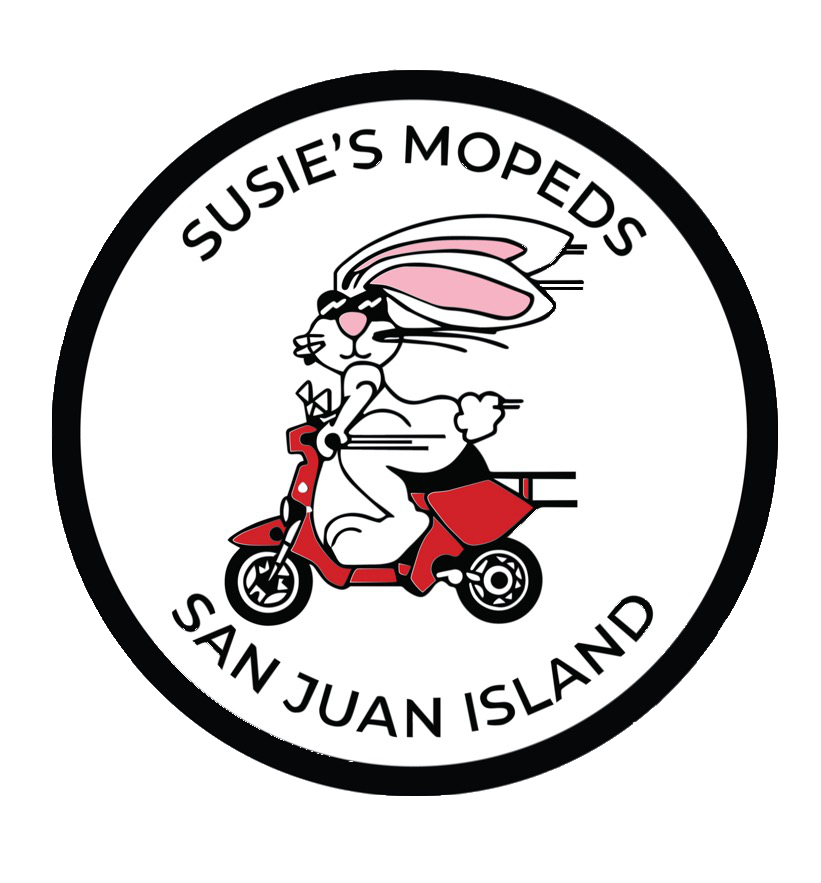 susies logo.webp
