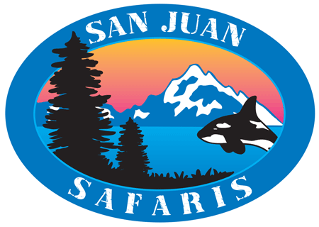 SJS Logo.png