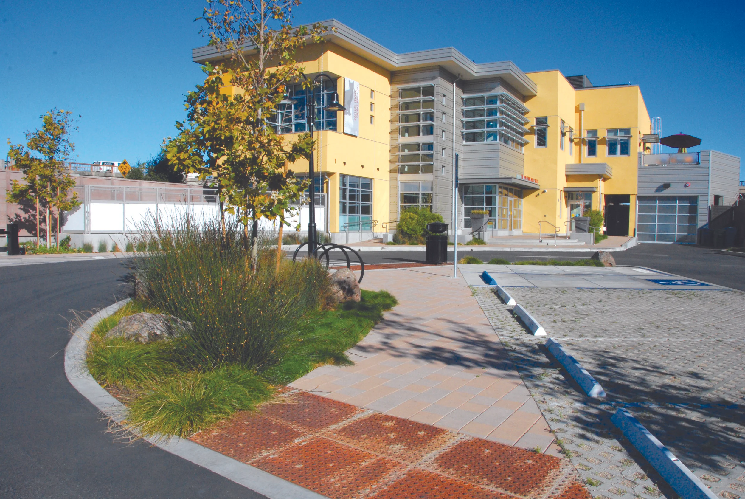 Berkeley Animal Shelter, Berkeley CA