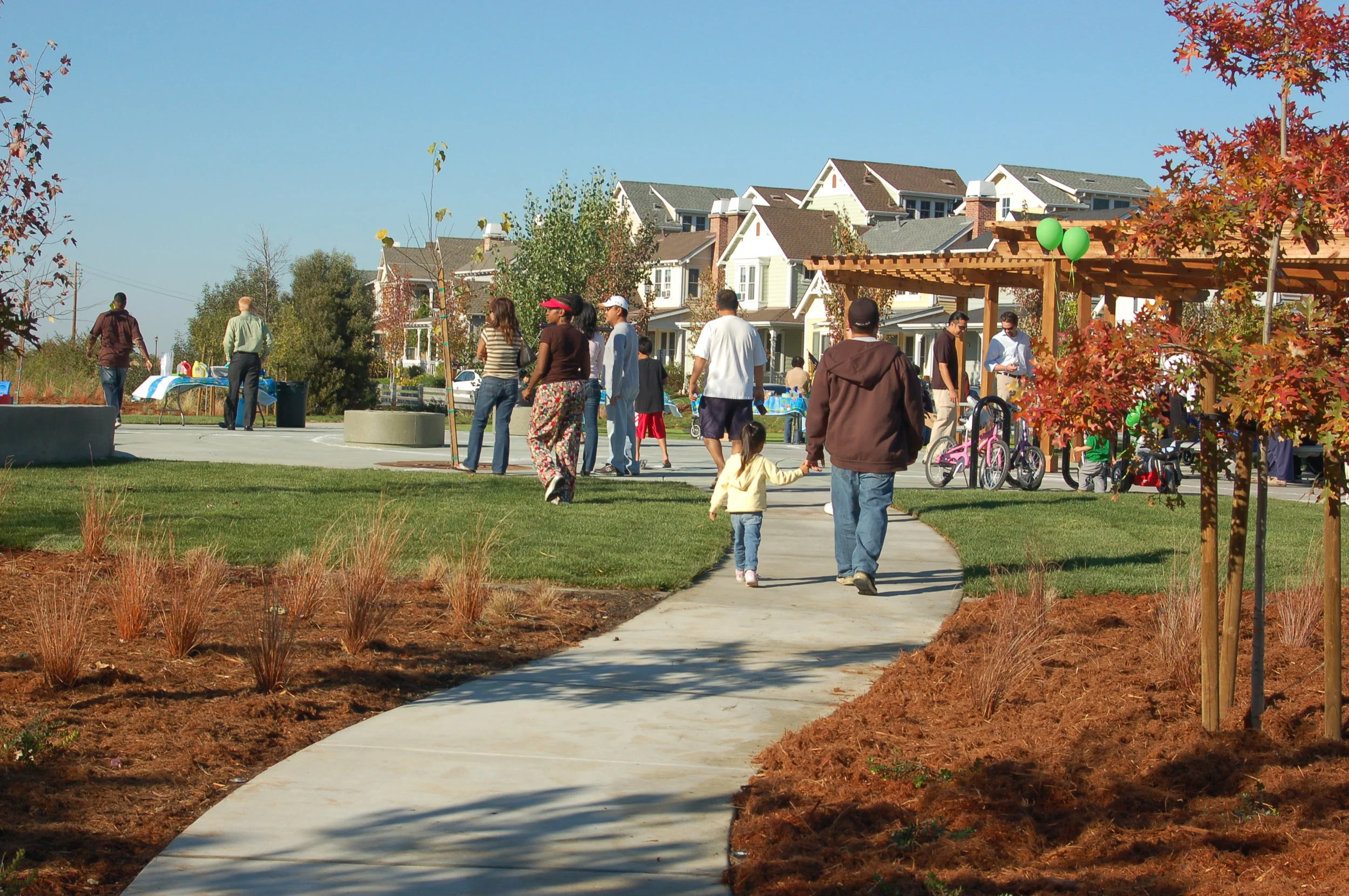 777_Frog Pad Entry.JPG