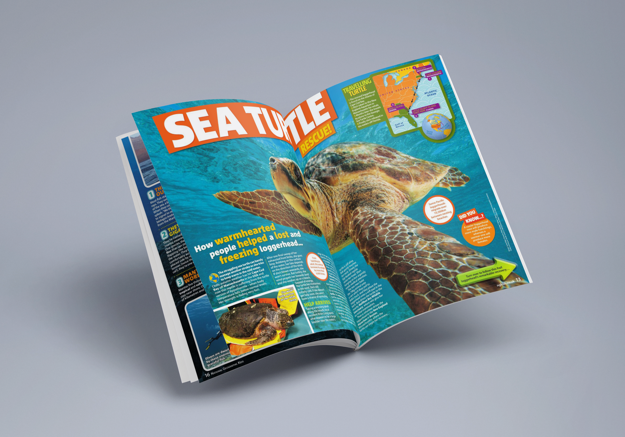 Photorealistic Magazine MockUp 2.png