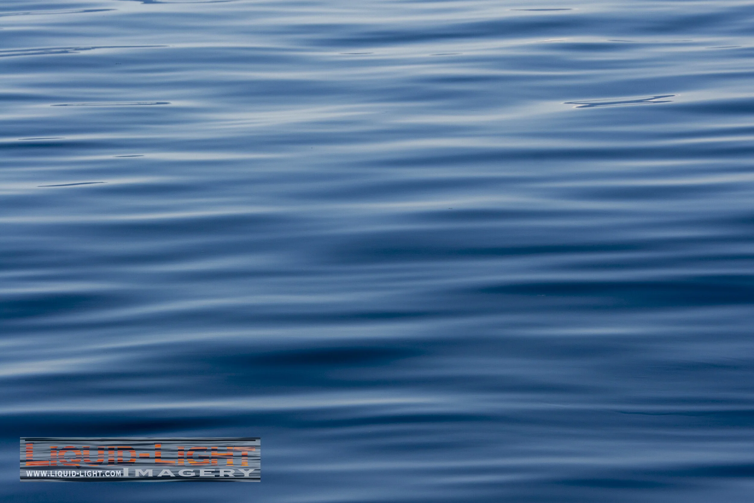 The Big Blue