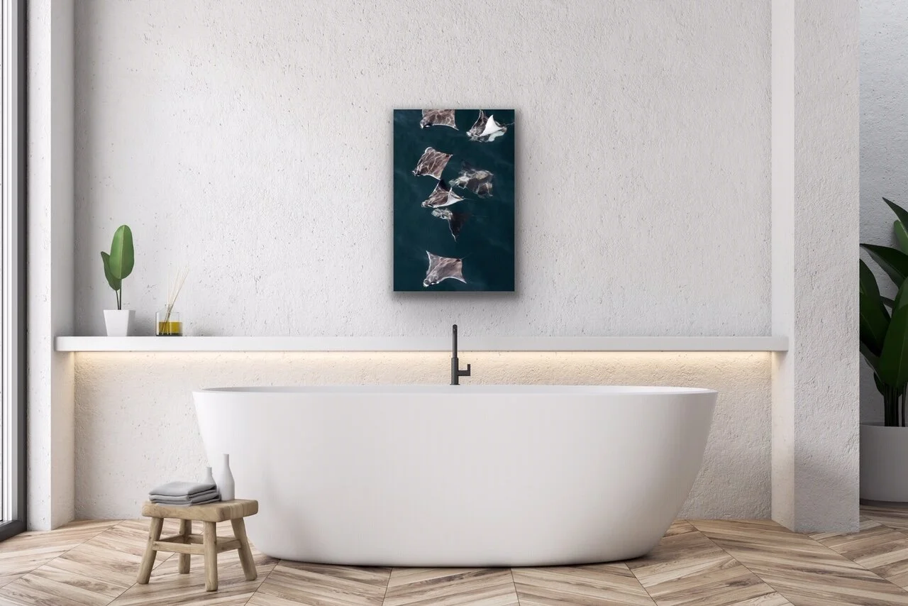 Squadron Staged.jpeg