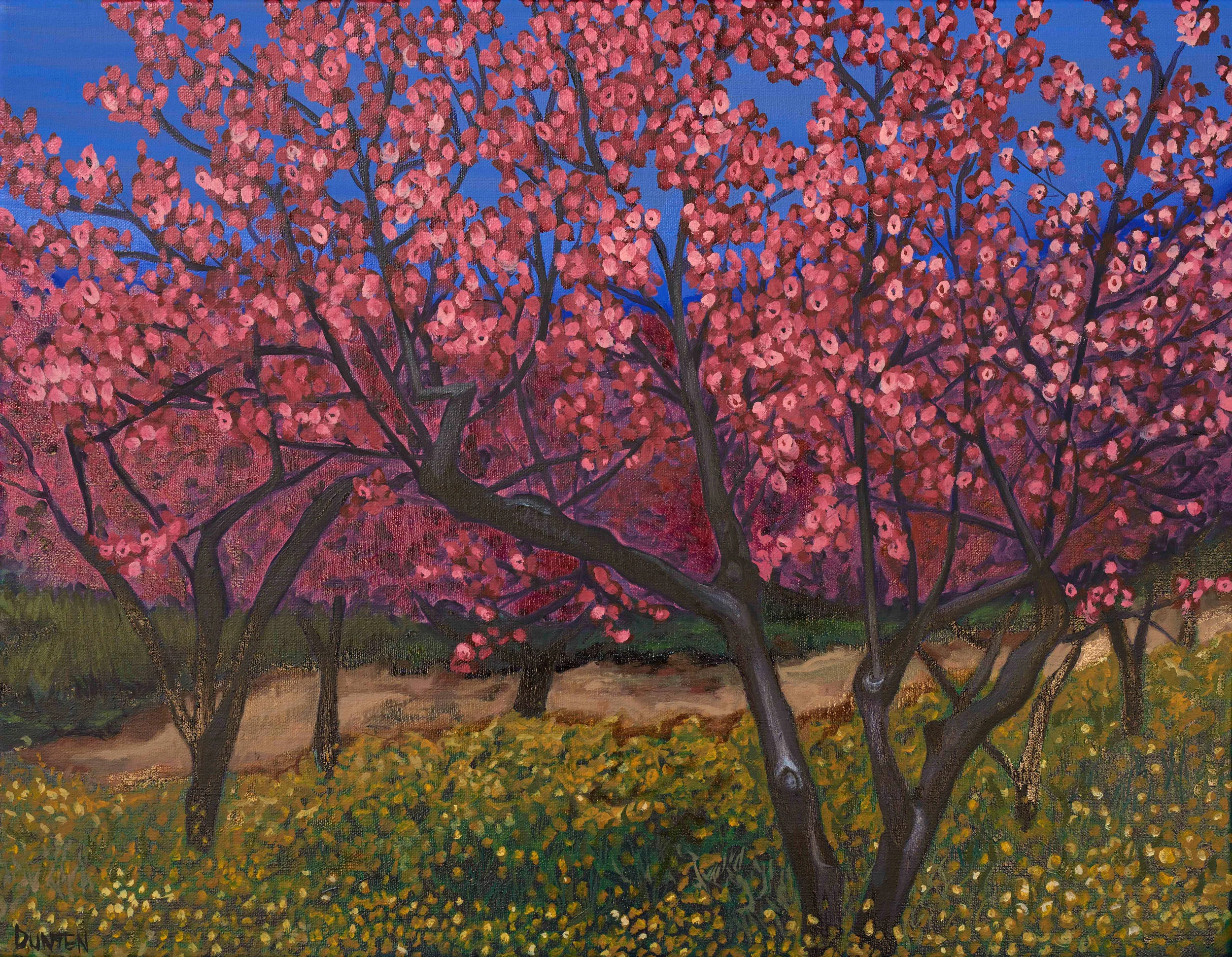   Almond Trees  