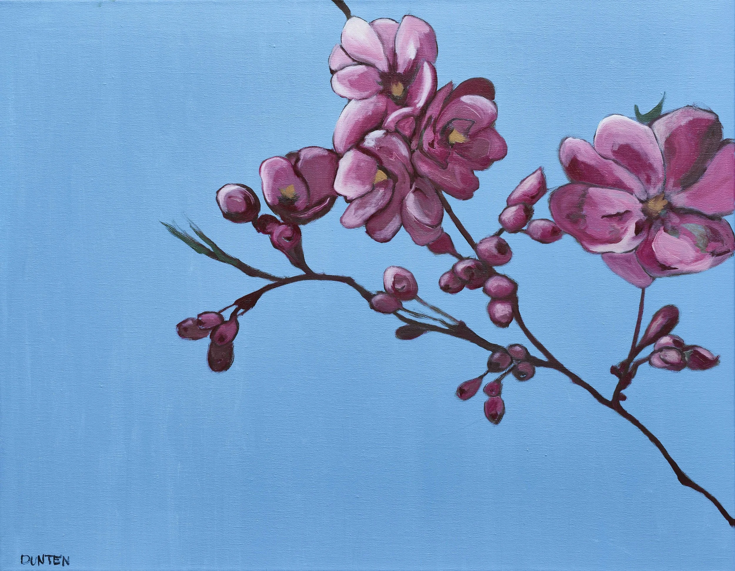   Red Bud Tree  