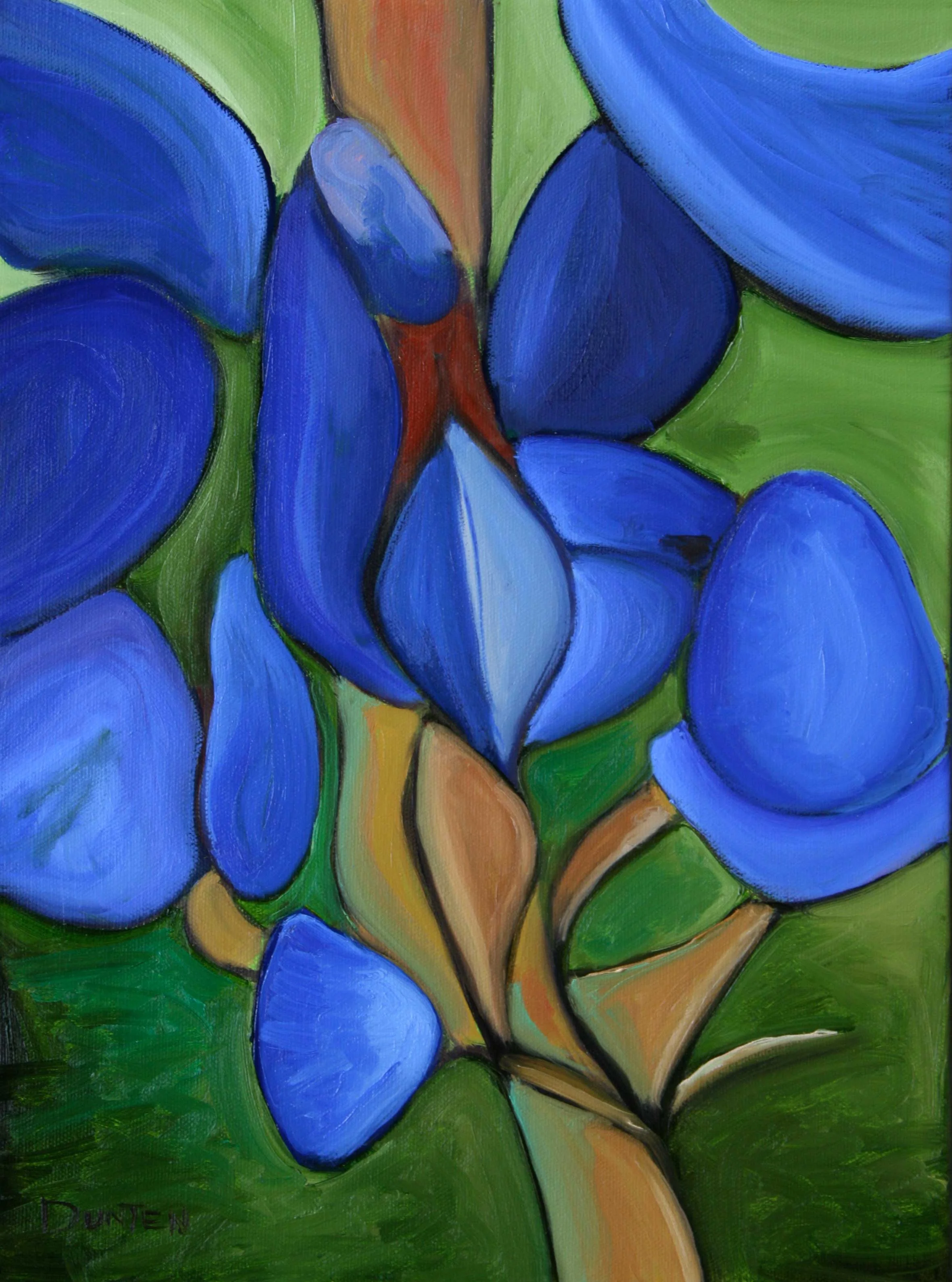   Bluebonnet  