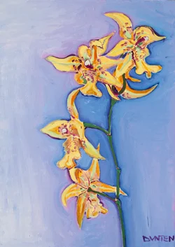   Yellow Orchid  
