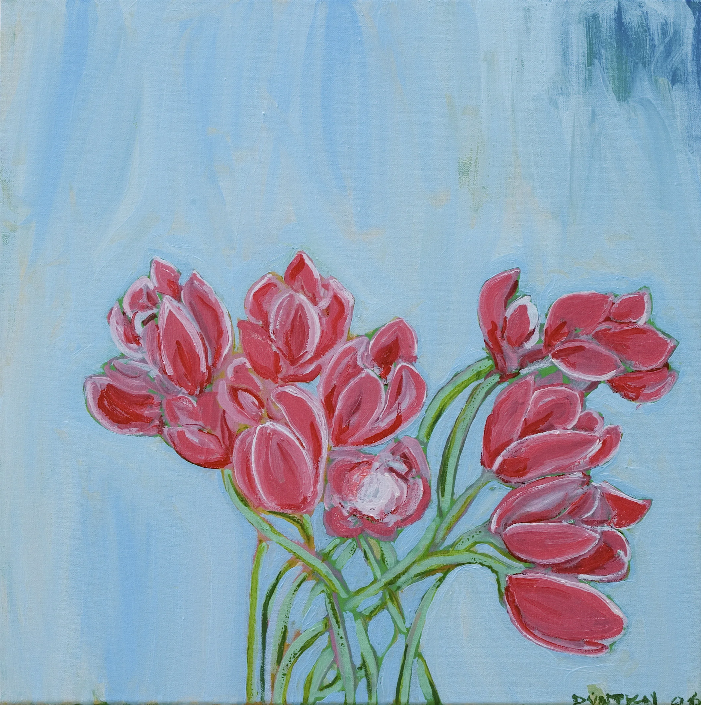   Early Tulips  