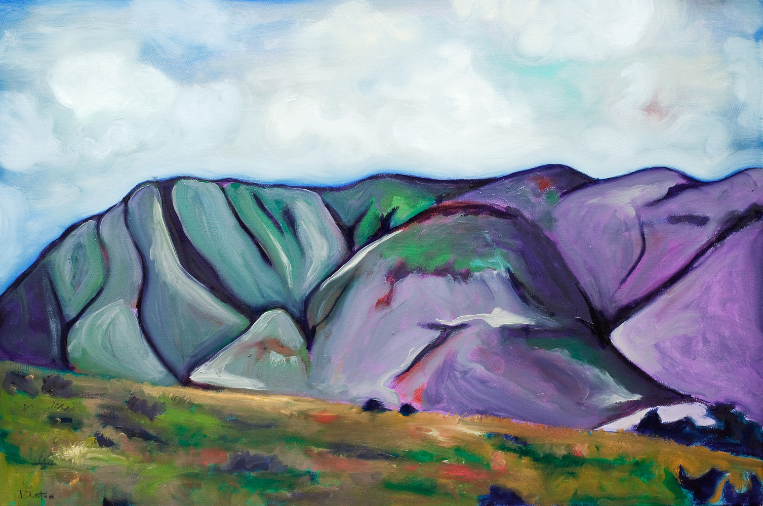   Ft. Davis Mountains   