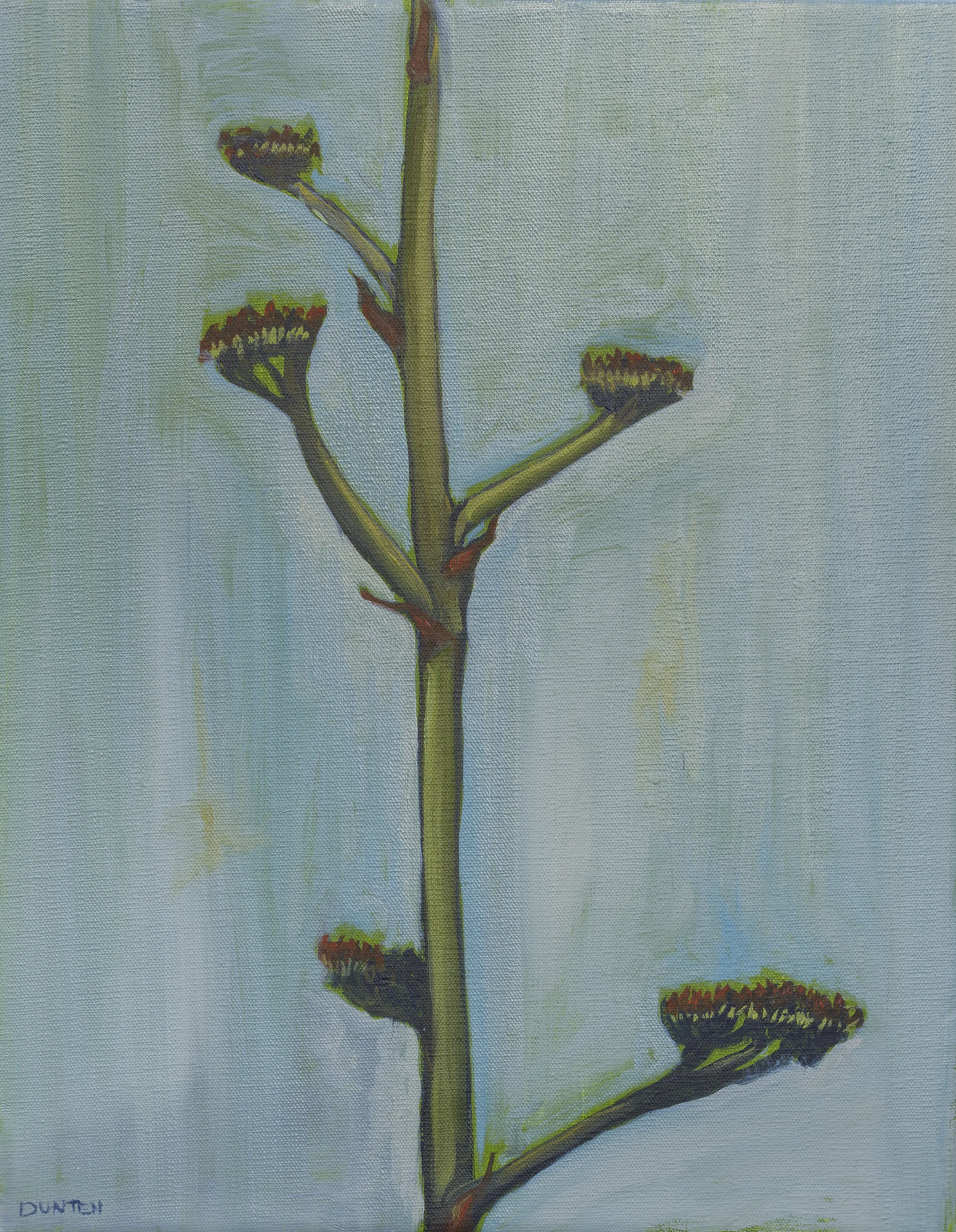   Century Bloom  