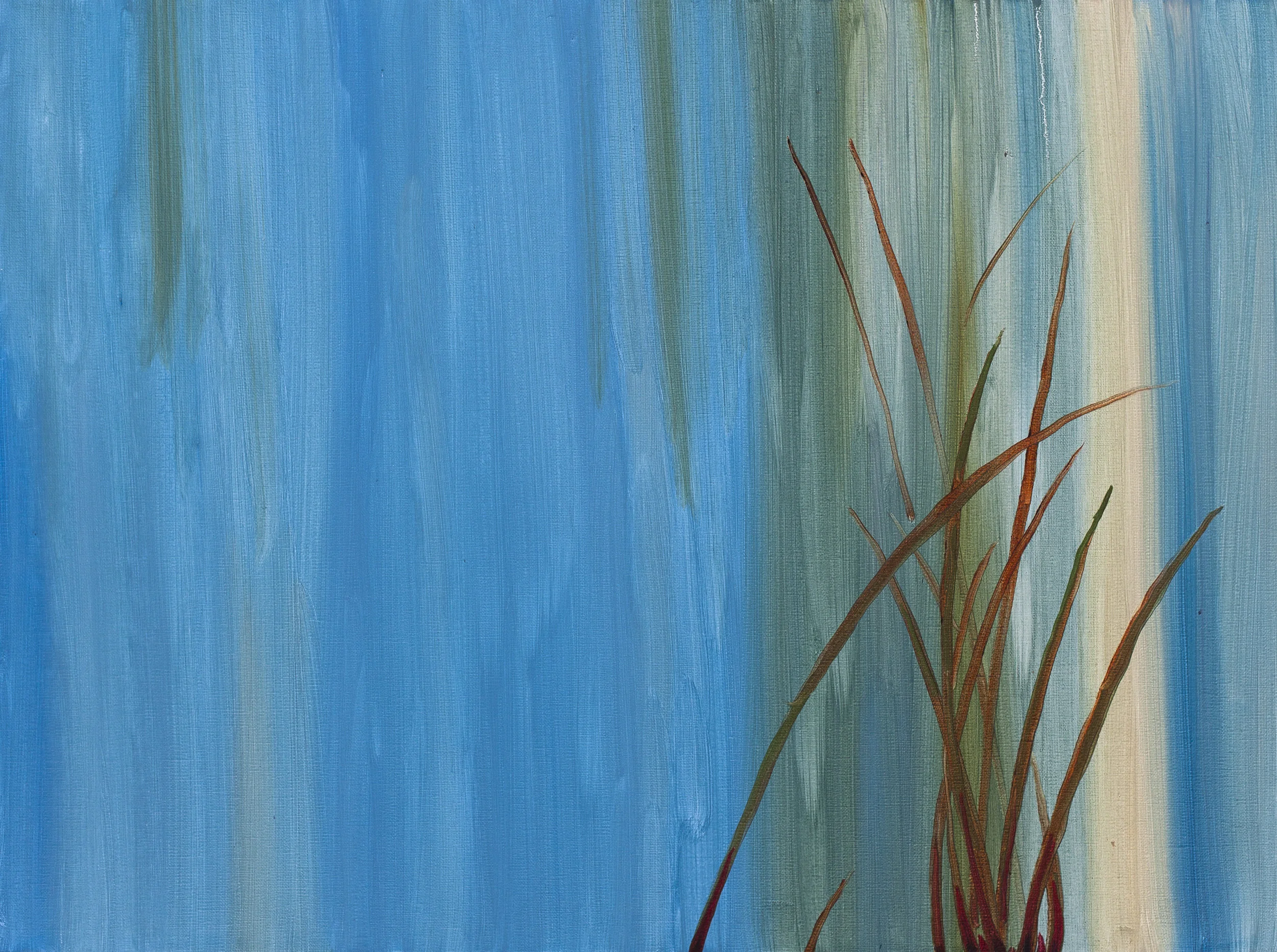   Coastal Grass  