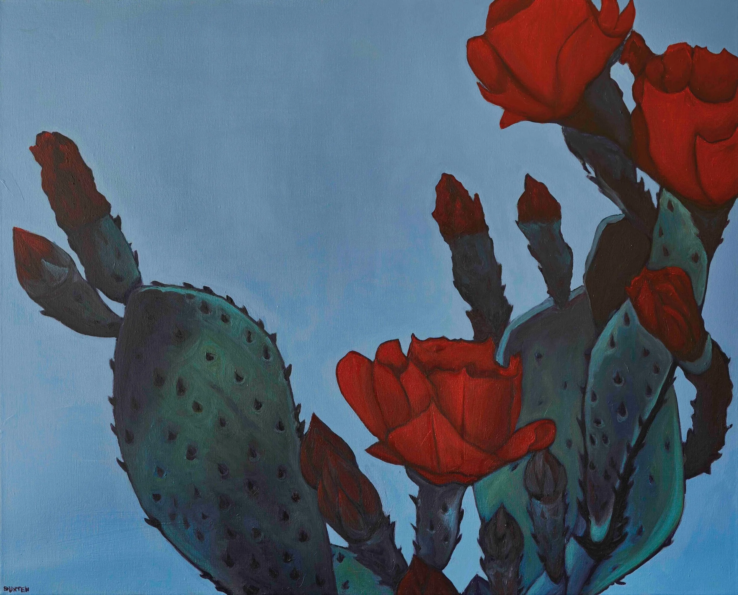 Caroline's Cactus