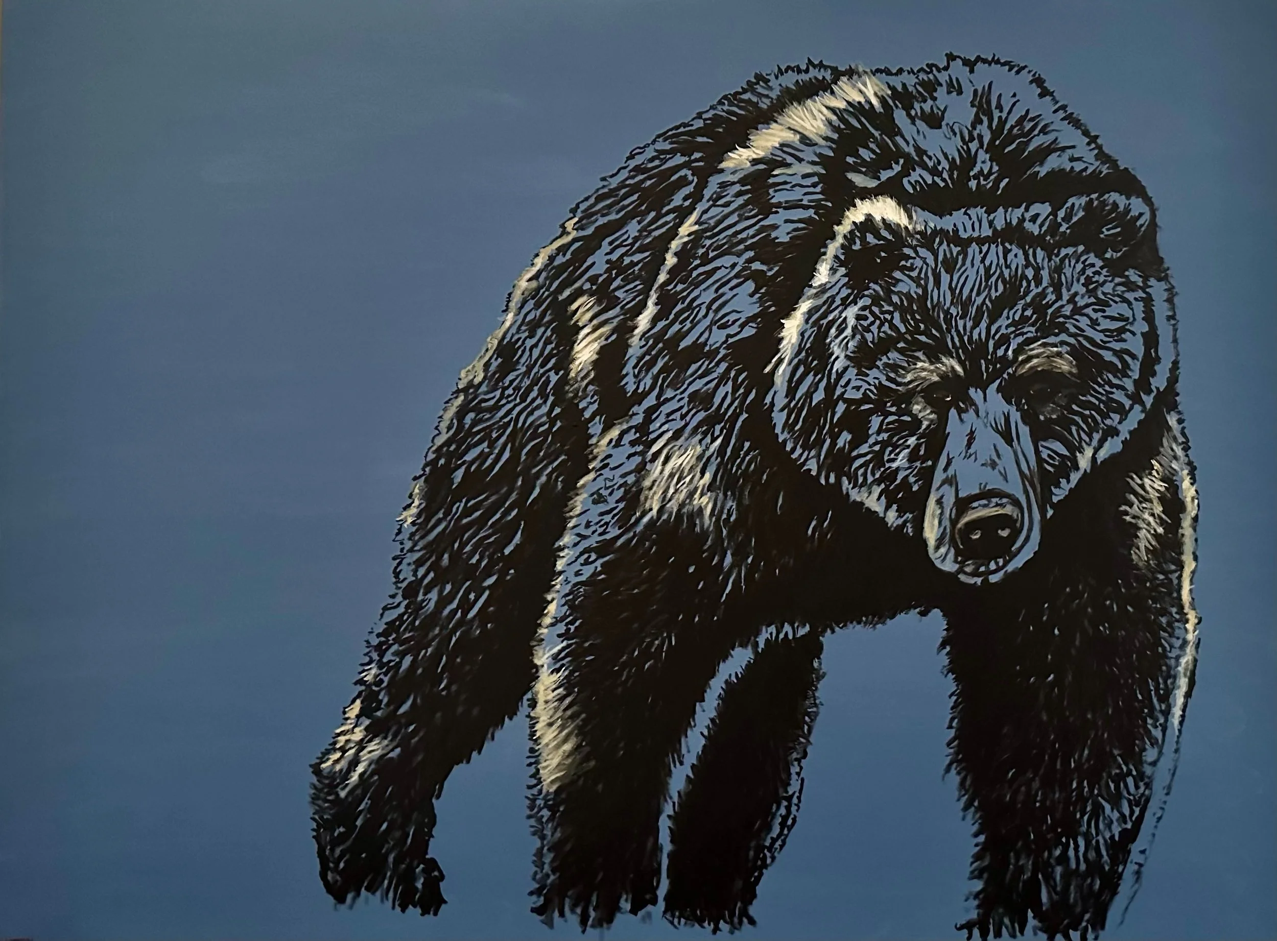The Bear