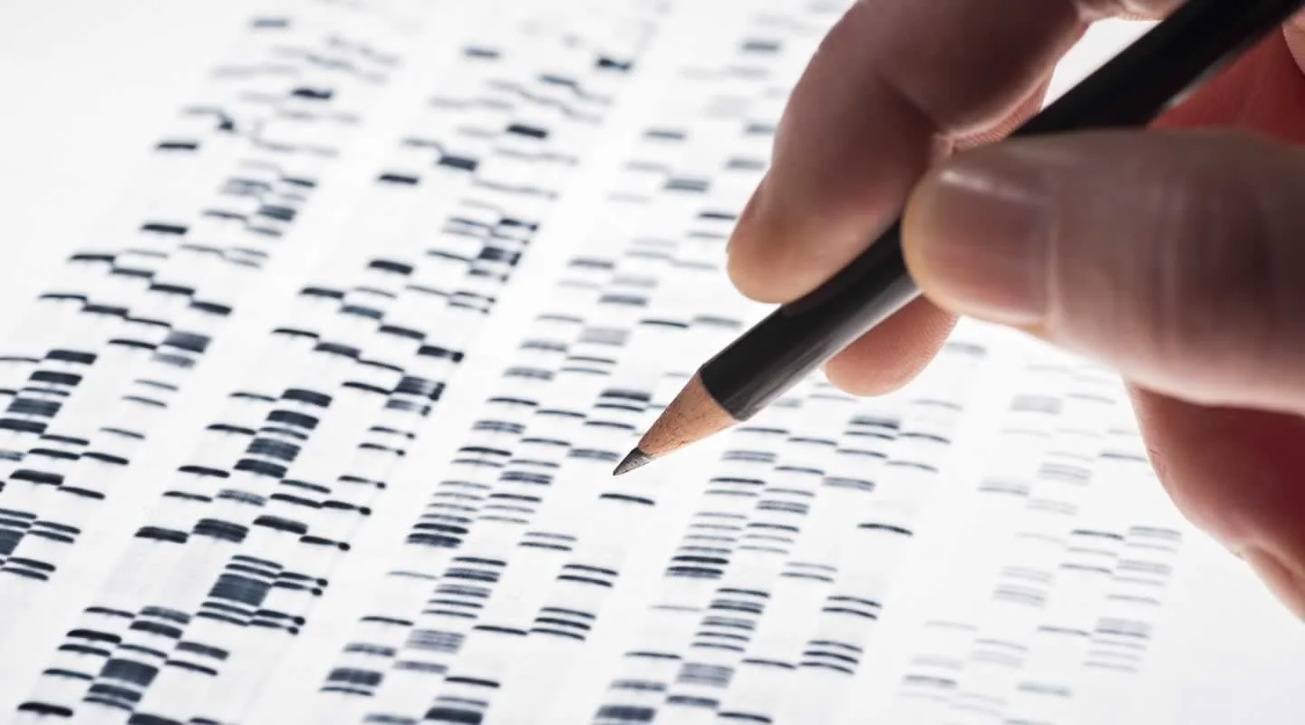 DNA profile.jpg