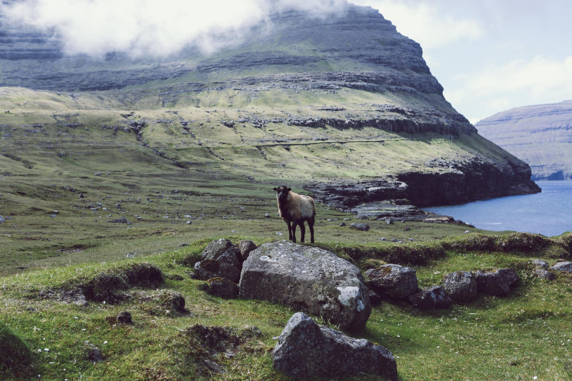 Svínoy 
