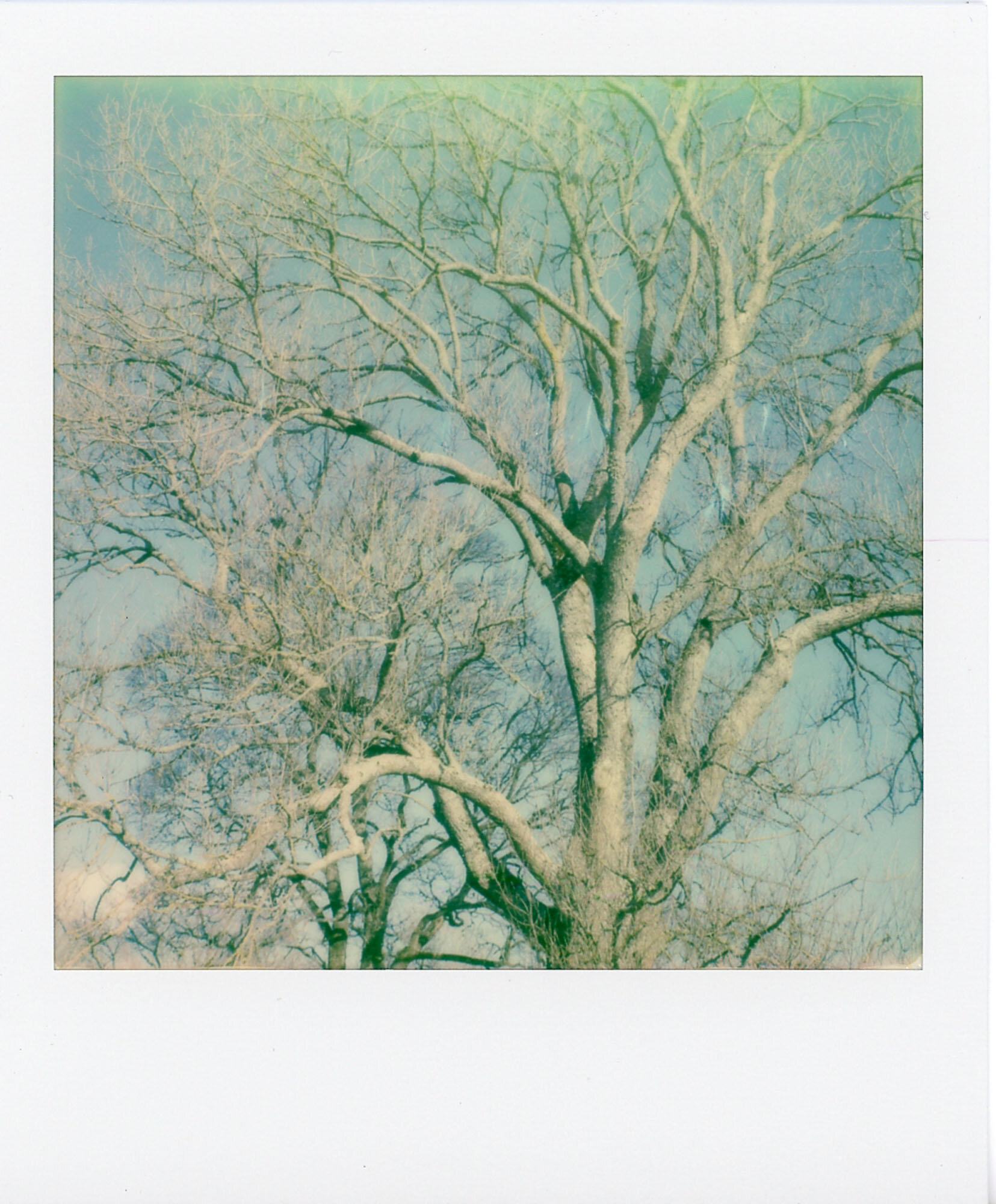 Uppsala_web-008.jpg