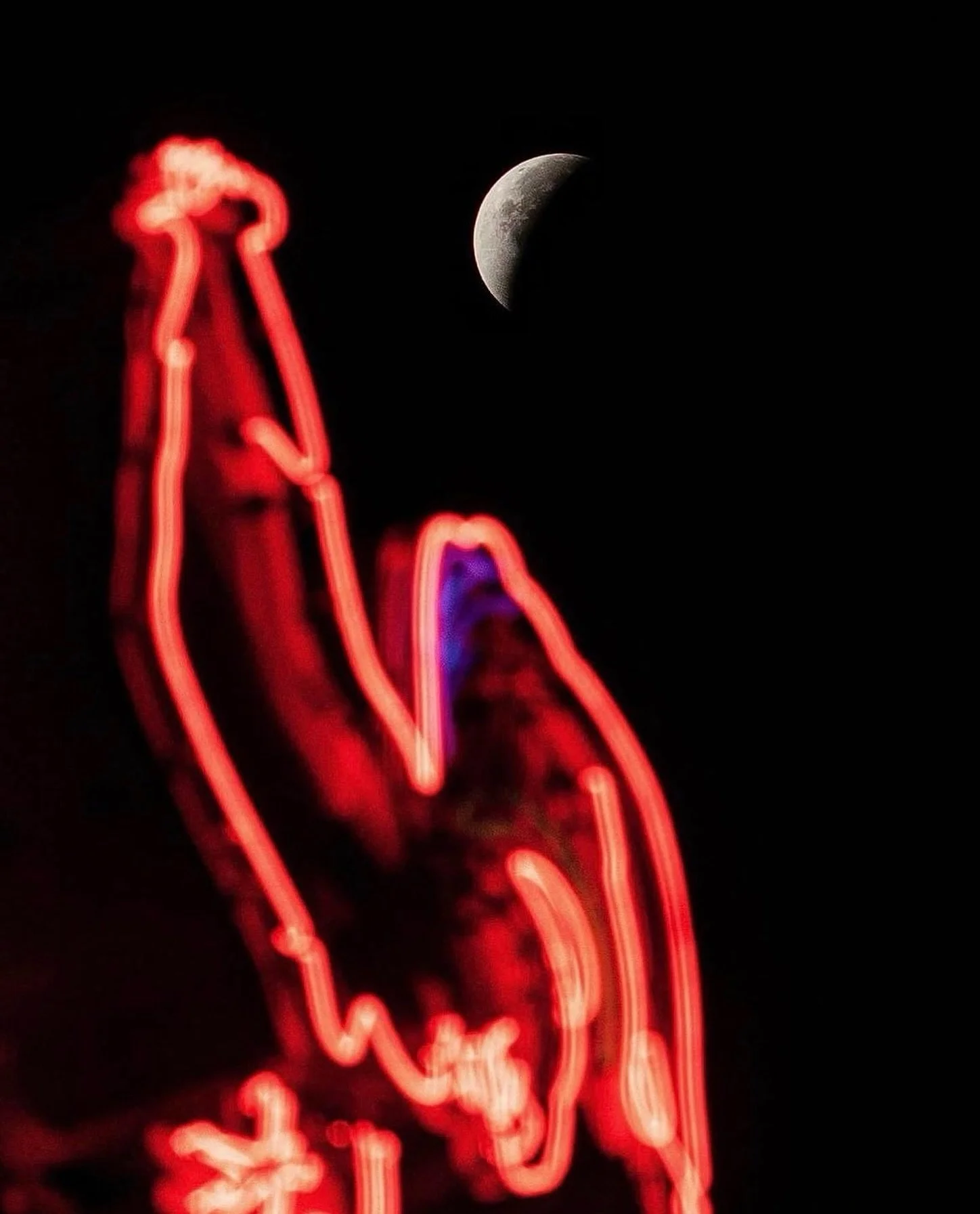 Who caught tonight&rsquo;s Lunar Eclipse? 🌙🤯
photo: @martinbcherry 2021

#lunareclipse #fullmoon #nashvilletn