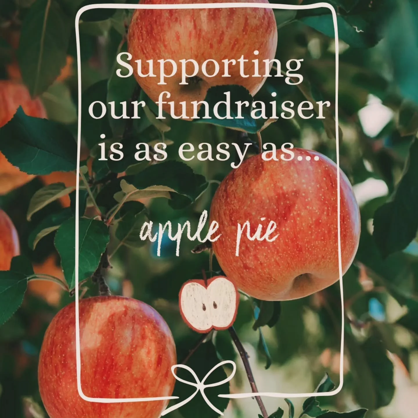 Please support our orchard harvest fundraiser featuring healthy, premium Okanagan ambrosia apples, freshly harvested and direct from the grower. 🍎

There are TWO WAYS you can choose to support our fundraiser...

(1) You can buy some delicious apples