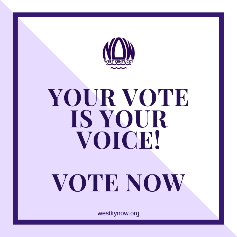 Your Vote Is Your Voice! (1).png