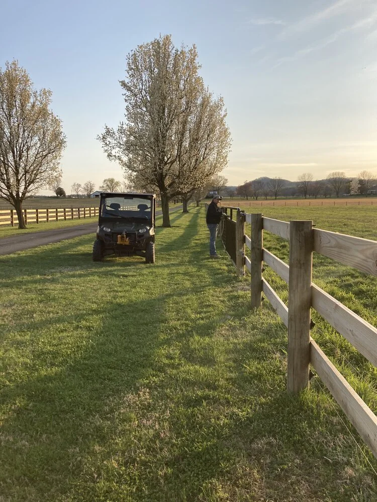 Grassfed cattle farm EWF.jpeg